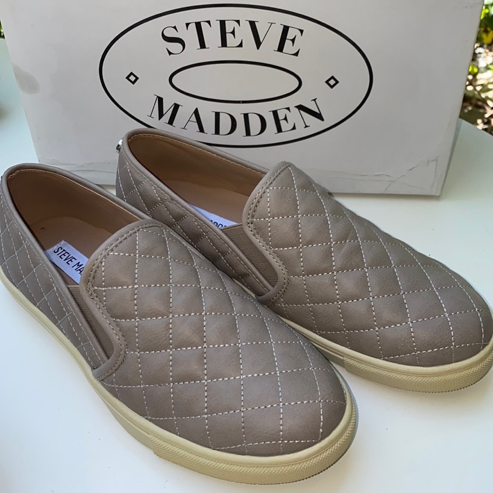 AUTH Never worn in the box, Steve Madden ECENTRCQ
